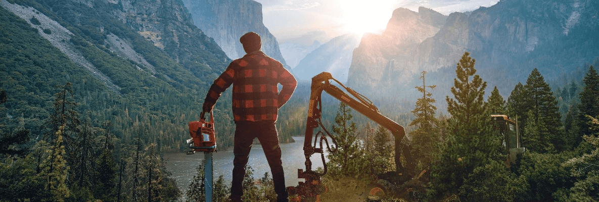 Lumberjack's Dynasty İnceleme