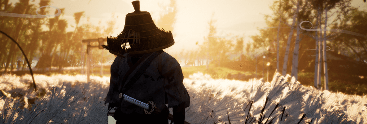 RONIN: Two Souls İnceleme