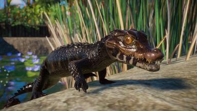 Planet Zoo: Aquatic Pack PC Key Fiyatları