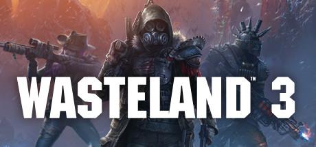 Wasteland 3