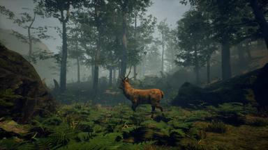 Folklore Hunter PC Key Fiyatları