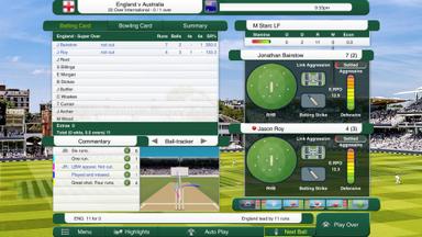 Cricket Captain 2021