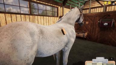 Animal Shelter - Horse Shelter DLC PC Fiyatları