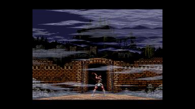 Castlevania Anniversary Collection PC Fiyatları