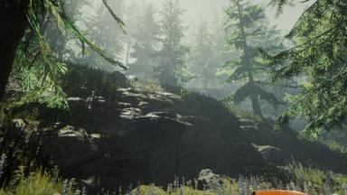 The Forest Fiyat Karşılaştırma
