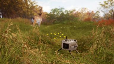 theHunter: Call of the Wild™  - Ambusher Pack Fiyat Karşılaştırma