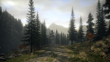 Alan Wake PC Fiyatları