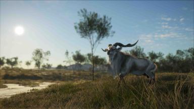 theHunter: Call of the Wild™ - Emerald Coast Australia Fiyat Karşılaştırma