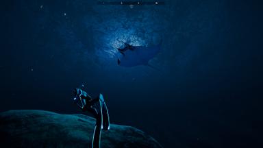 Beyond Blue PC Fiyatları