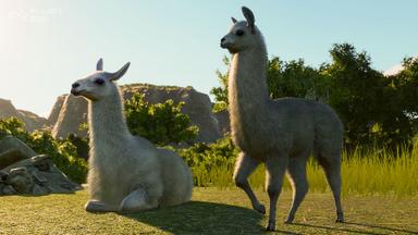 Planet Zoo: South America Pack PC Key Fiyatları