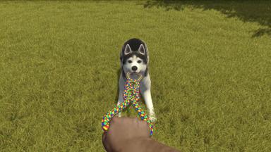House Flipper - Pets DLC PC Key Fiyatları
