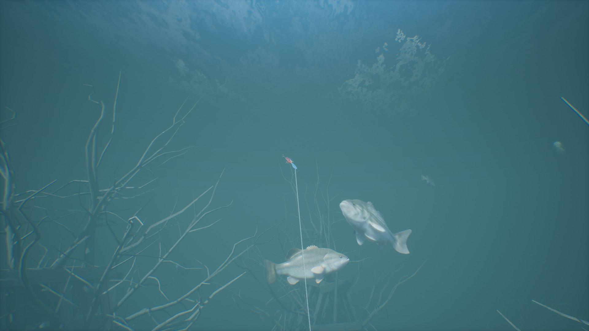Bassmaster® Fishing 2022