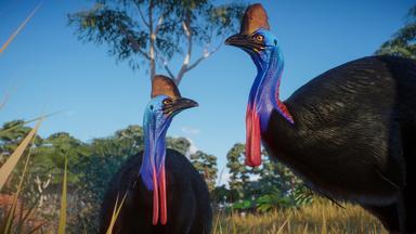 Planet Zoo: Australia Pack Fiyat Karşılaştırma