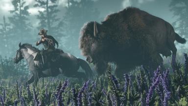 Red Dead Online PC Key Fiyatları