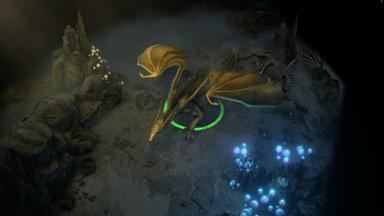 Pathfinder: Wrath of the Righteous – Season Pass 2 PC Key Fiyatları