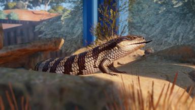 Planet Zoo: Australia Pack PC Fiyatları