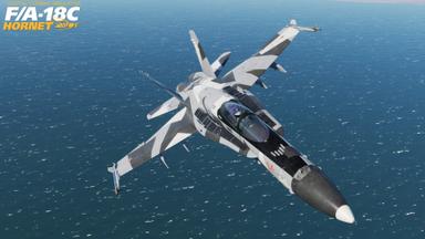 DCS: F/A-18C Hornet