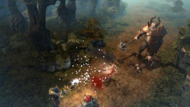 Drakensang Online