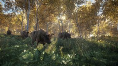 theHunter: Call of the Wild™