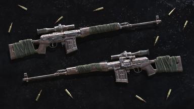 Insurgency: Sandstorm - Rust and Wrap Weapon Skin Set PC Fiyatları