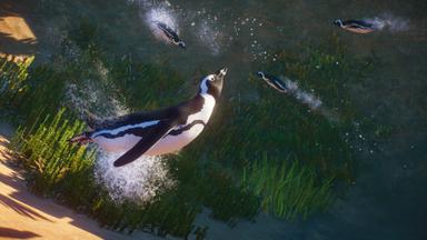 Planet Zoo: Africa Pack