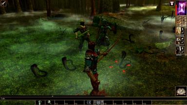 Neverwinter Nights: Wyvern Crown of Cormyr PC Fiyatları