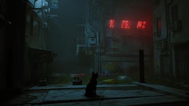 Stray PC Key Fiyatları
