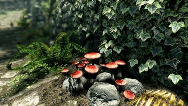 The Elder Scrolls V: Skyrim Special Edition PC Key Fiyatları