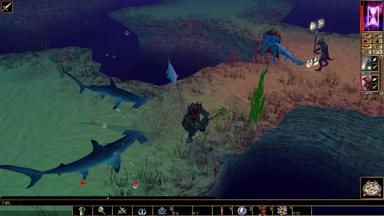 Neverwinter Nights: Pirates of the Sword Coast
