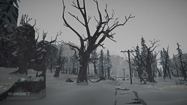 The Long Dark: Tales from the Far Territory PC Key Fiyatları