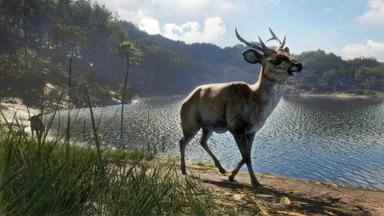 theHunter: Call of the Wild™ - Emerald Coast Australia PC Fiyatları