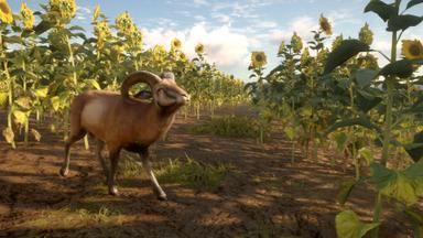 theHunter: Call of the Wild™ - Cuatro Colinas Game Reserve PC Key Fiyatları