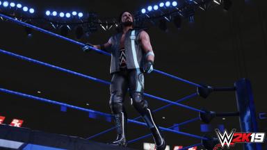 WWE 2K19 PC Key Fiyatları