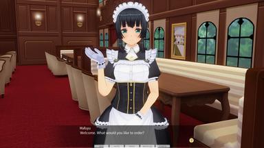 CUSTOM ORDER MAID 3D2 It's a Night Magic PC Key Fiyatları
