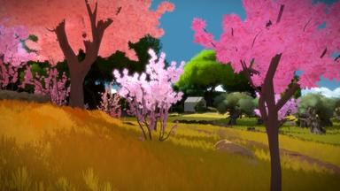 The Witness PC Key Fiyatları