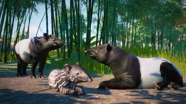 Planet Zoo: Southeast Asia Animal Pack PC Fiyatları