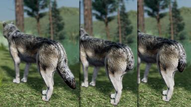 WolfQuest Anniversary - Building Character Pack PC Key Fiyatları