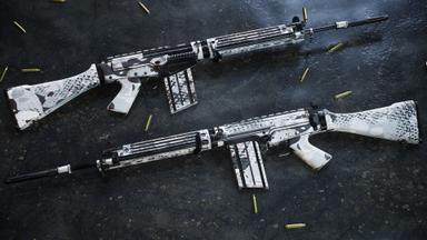 Insurgency: Sandstorm - Whiteout Weapon Skin Set PC Fiyatları