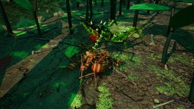 Empires of the Undergrowth