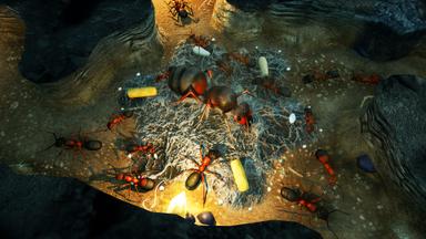 Empires of the Undergrowth PC Key Fiyatları