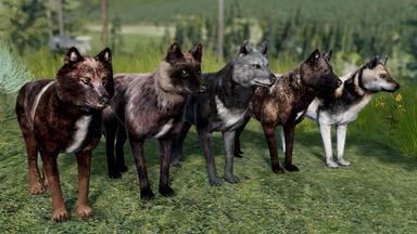 WolfQuest Anniversary - Building Character Pack PC Fiyatları
