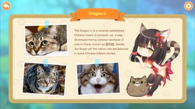 Miss Neko 2 Fiyat Karşılaştırma
