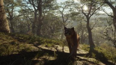 theHunter: Call of the Wild™ - Parque Fernando PC Key Fiyatları