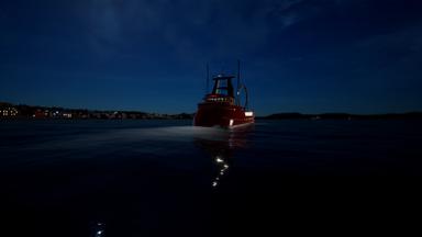 Fishing: North Atlantic - Scallops Expansion PC Key Fiyatları