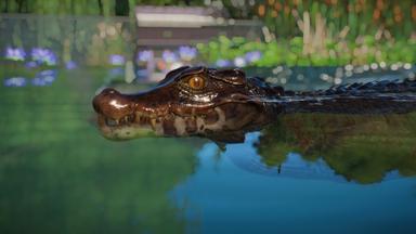 Planet Zoo: Aquatic Pack Fiyat Karşılaştırma