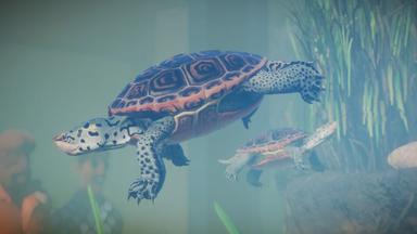 Planet Zoo: Aquatic Pack PC Fiyatları