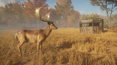 theHunter: Call of the Wild™ - Tents &amp; Ground Blinds