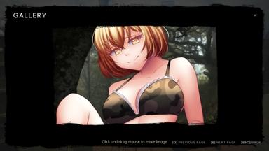 The Last of Waifus