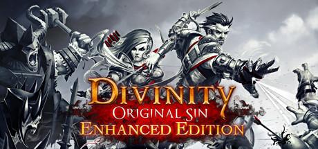 Divinity: Original Sin - Enhanced Edition