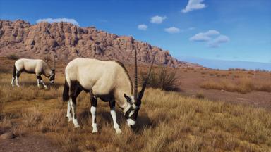 Way of the Hunter - Tikamoon Plains